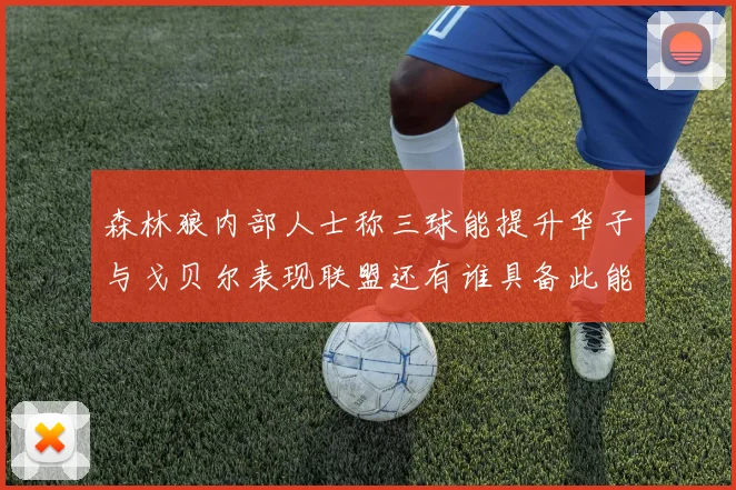 森林狼内部人士称三球能提升华子与戈贝尔表现联盟还有谁具备此能力