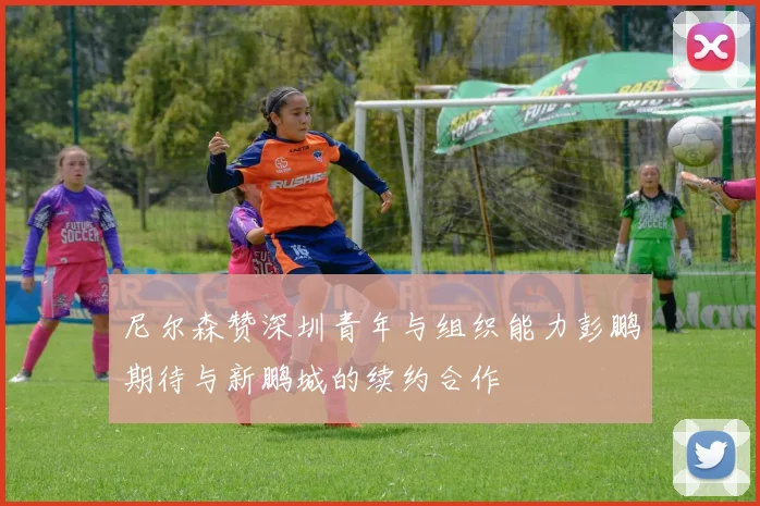 尼尔森赞深圳青年与组织能力彭鹏期待与新鹏城的续约合作