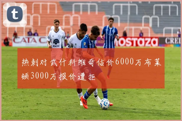 热刺对武什科维奇估价6000万布莱顿3000万报价遭拒