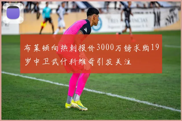 布莱顿向热刺报价3000万镑求购19岁中卫武什科维奇引发关注