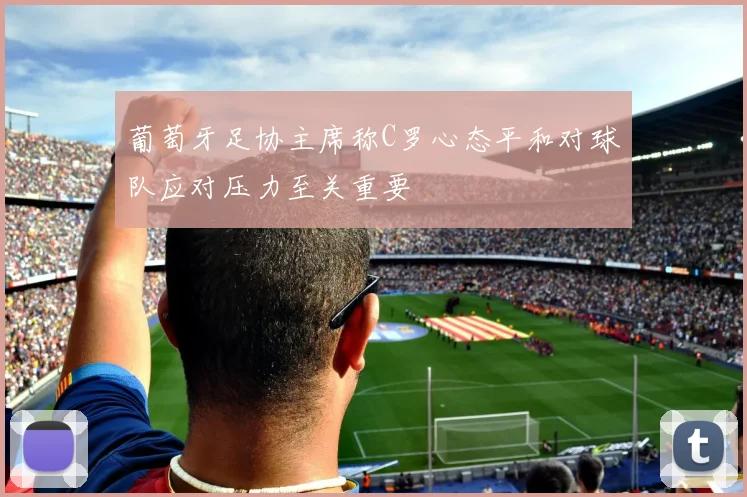 葡萄牙足协主席称C罗心态平和对球队应对压力至关重要