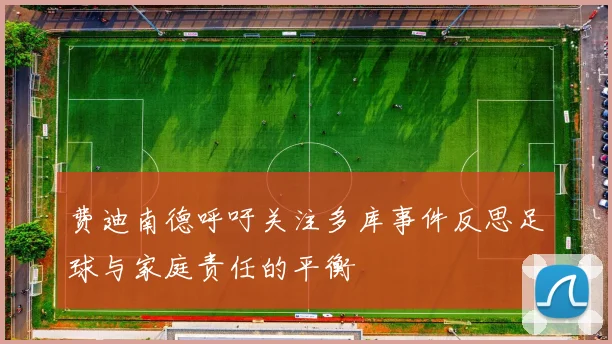 费迪南德呼吁关注多库事件反思足球与家庭责任的平衡